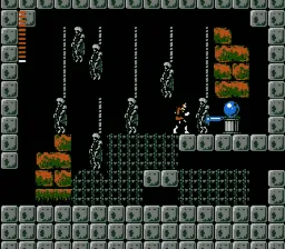 Snapshot